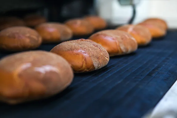 Pães assados na linha de produção na padaria — Fotografia de Stock