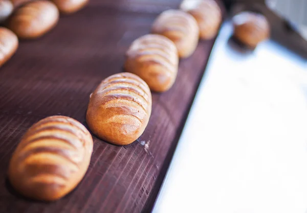 Pães assados na linha de produção na padaria — Fotografia de Stock