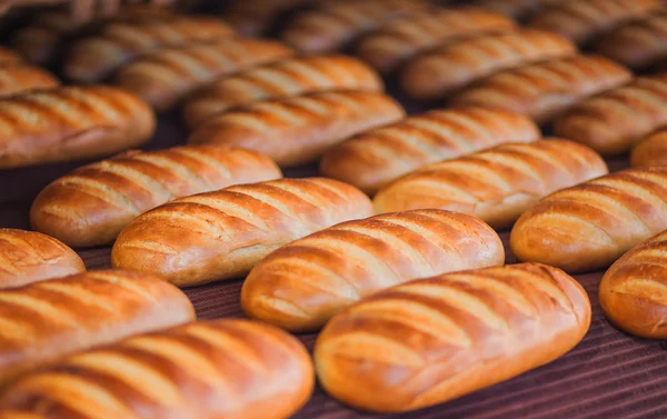 Pães assados na linha de produção na padaria — Fotografia de Stock