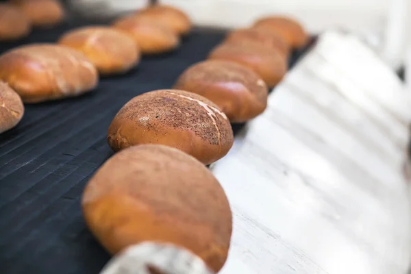 Brot am Fließband in der Bäckerei Stockbild