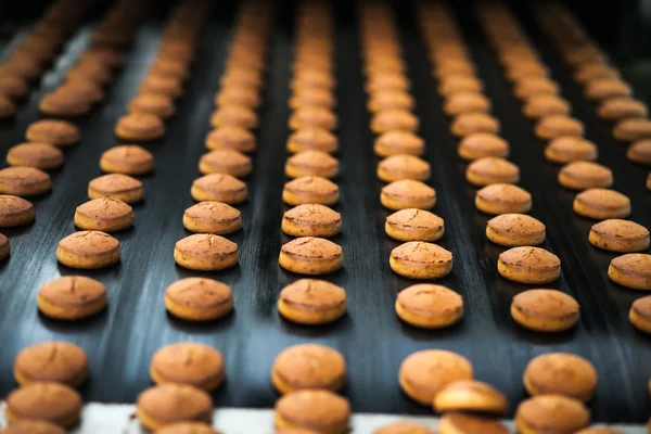 Honing-taart op de productielijn in de bakkerij Stockfoto