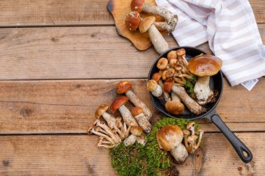 Porcini mantarı, bal mantarı, Polonya mantarı, tahta tahtalarda portakal kaplamalı boletus. Yeşil yosun, keten havlu ve dökme demir tavayla. Yatay, üst görünüm, boşluğun kopyası
