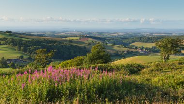 Hinkley noktası nükleer güç istasyonu ve Bristol kanalı Quantock Hills Somerset İngiltere İngiltere görüş kırsal bir yaz Cothelstone hill pembe çiçekler ile akşam