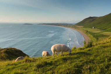 Rhossili plaj Gower Galler Birleşik Krallık İngiltere'de en iyi plajlarından