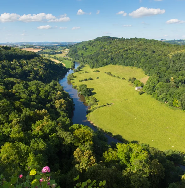 Campo inglés en el valle de Wye y el río Wye entre los condados de Herefordshire y Gloucestershire Inglaterra Reino Unido — Foto de Stock