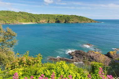 Güneşli Cove beach Haliç Salcombe Devon İngiltere'de gözlerden uzak beach