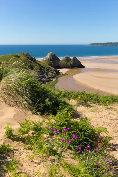 Tre klippor Bay Gower Wales Storbritannien i sommar solen vacker del av halvön — Stockfoto