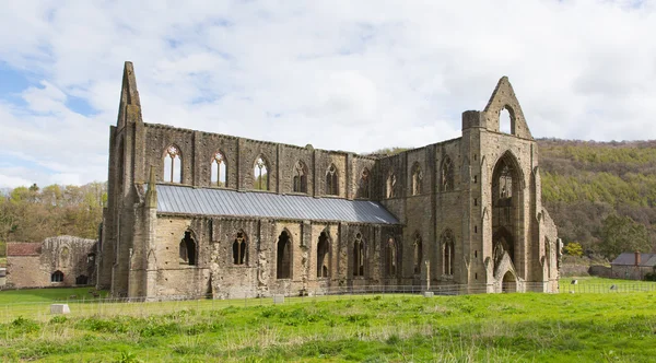 Abadía de Tintern Gales Ruinas británicas del monasterio cisterciense Destino turístico popular — Foto de Stock