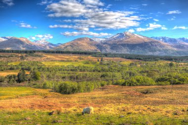 İskoç kırsal ve kar dağlar Ben Nevis İskoçya İngiltere Grampians Lochaber Highlands yakın şehrin renkli HDR Fort William tepesinde