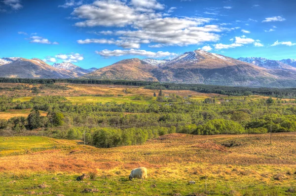 Campo escocés y montañas nevadas Ben Nevis Escocia Reino Unido en los Grampians Lochaber Highlands cerca de la ciudad de Fort William en HDR colorido —  Fotos de Stock