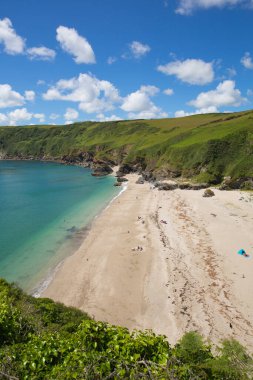Lantic Bay plajı Cornwall İngiltere 'de Fowey ve Polruan yakınlarında turkuaz deniz ve kumlu plajla