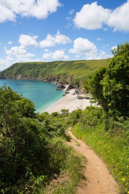 Coast Path Lantic bay Cornwall