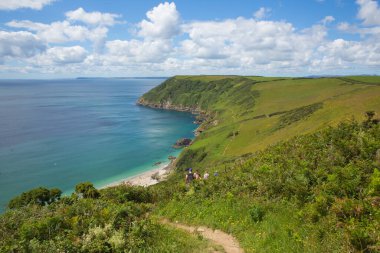 Yazın Fowey ve Polruan yakınlarında Lantic Bay Cornwall yolu.