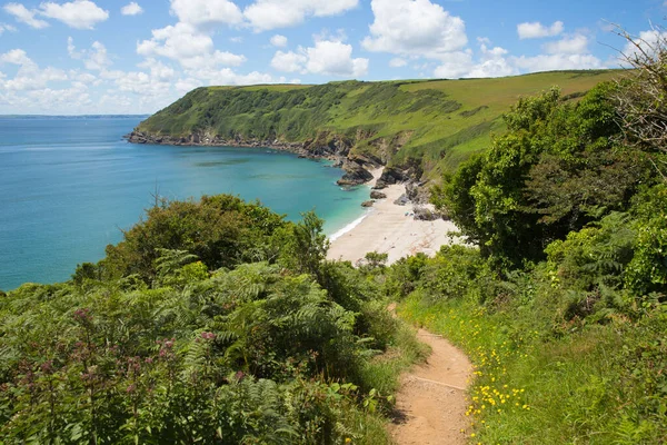 South West Coast Path Lantic bay beach Cornwall