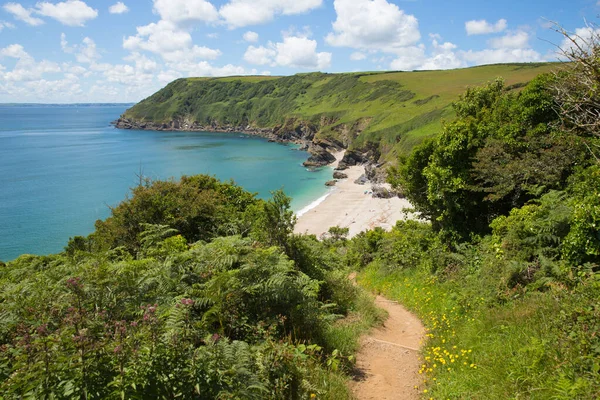 South West Coast Path Παραλία Landic Bay Cornwall — Φωτογραφία Αρχείου