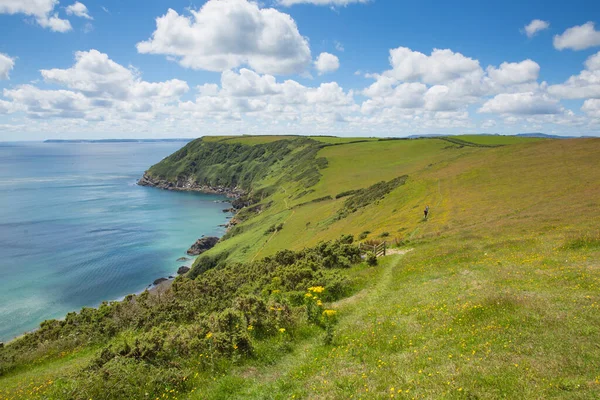 Lantic Bay Cornish Coast Cornwall England Beautiful Cornish Countryside — Stok fotoğraf