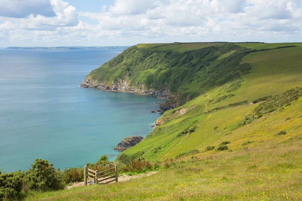 Cornwall Sahil yolu Lantic Bay Cornwall Yazın mavi deniz ve gökyüzü
