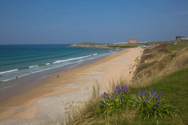 Newquay Cornwall Fistral plajı. Çiçekli. İngiltere 'nin güneybatısındaki en iyi sörf plajlarından biri.