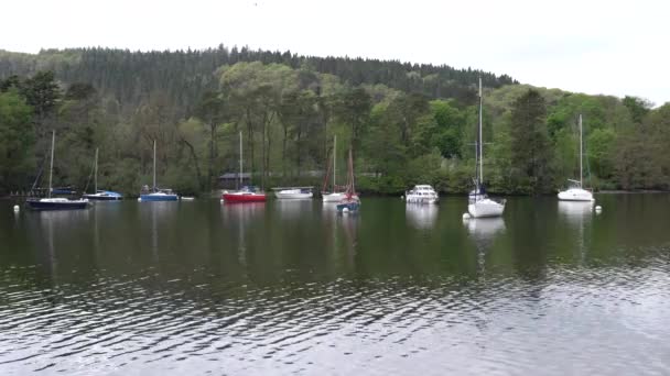 Lake District Windermere Anglia Żaglówkami Dobrej Pogodzie Wiosną — Wideo stockowe