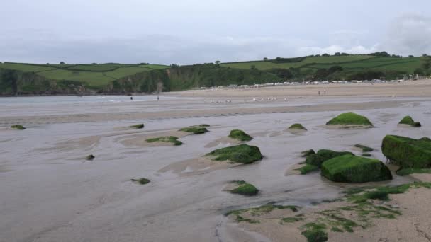 メヴァギッシーとポルトガルの間のペンテワンコーンウォールビーチイギリスの緑の海藻 — ストック動画
