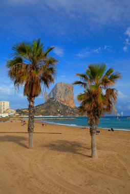 Palmiye ağaçları İspanya 'yı, Costa Blanca' daki Penyal d 'Ifach' in kaya simgesi olarak görüyor. 