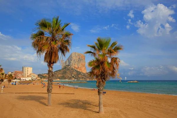 Palme Sulla Spiaggia Calp Spagna Con Pietra Punto Riferimento Penyal — Foto Stock