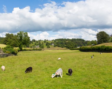Sawrey ülke görünümüyle hawkshead Göller Bölgesi eski köy beatrix potter eve