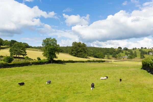Near Sawrey country view by Hawkshead Lake District former village home to Beatrix Potter — Stock Photo, Image