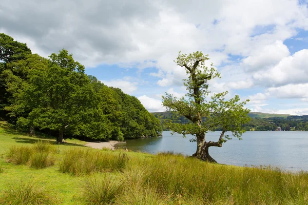 Laghi Windermere Lake District National Park Inghilterra Regno Unito — Foto Stock