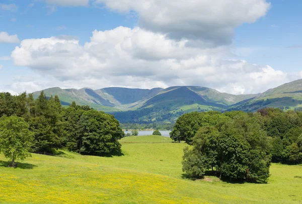 Cena do país Langdale Valley and Fairfield Horse mountains from Wray Castle Lake District Cumbria uk — Fotografia de Stock