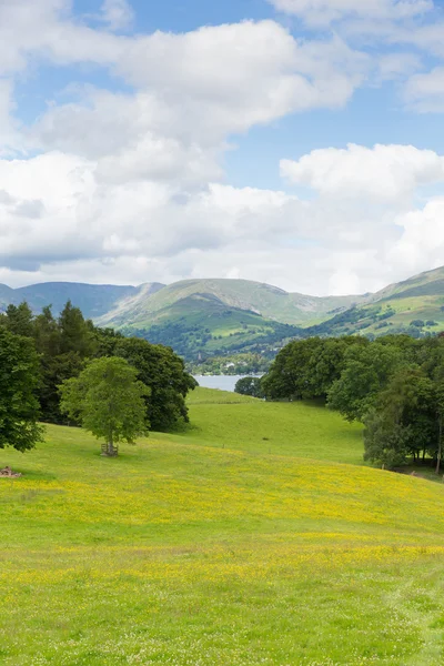 Scena di campagna Langdale Valley e Fairfield Horse montagne da Wray Castle Lake District Cumbria uk — Foto Stock