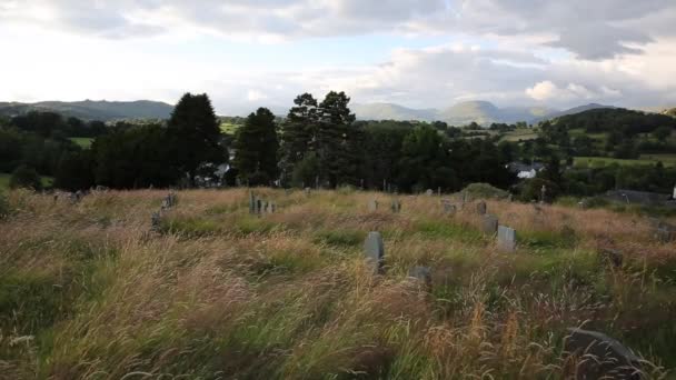 Зростаюче кладовище з травою, що дме на вітрі — стокове відео
