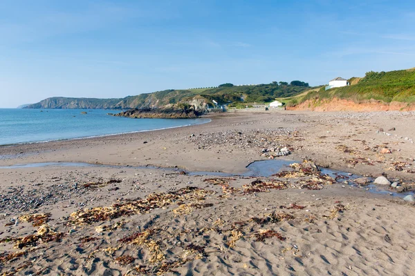 Seaweed on the beach Kennack Sands Cornwall the Lizard Heritage coast — Stock Photo, Image