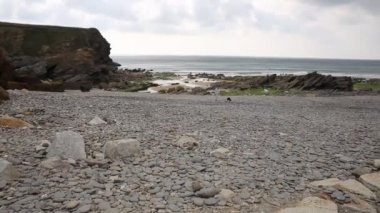 gunwalloe plaj cornwall İngiltere İngiltere kertenkele Yarımadası