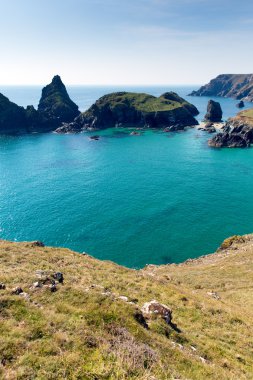 Bay ve kynance taşlara kertenkele cornwall İngiltere İngiltere ile mavi gökyüzü ve denizin güzel güneşli yaz gün koyu