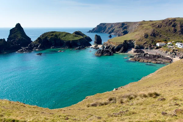 明確なターコイズ ブルーの海 kynance 美しい日当たりの良い夏の日のトカゲ コーンウォール イギリス英国を入り江 — ストック写真