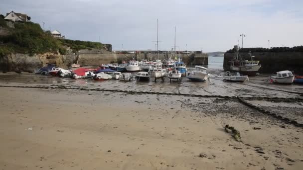 Newquay port North Cornwall Anglii Uk Pan — Wideo stockowe