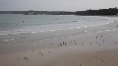 Newquay Towan beach Kuzey Cornwall İngiltere İngiltere
