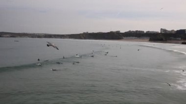 Sörfçü Newquay Towan beach Kuzey Cornwall İngiltere İngiltere