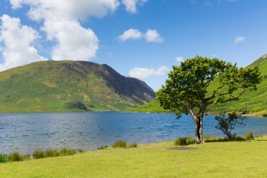 Crummock su Lake District Kuzey Batı İngiltere İngiltere arasında Buttermere ve Loweswater mavi gökyüzü ve beyaz bulutlar ile yaz gününde
