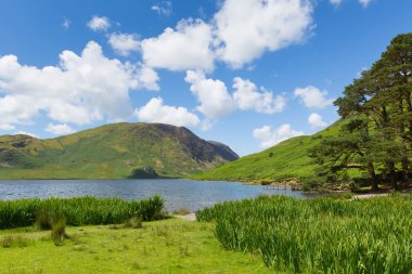 Crummock su Lake District Kuzey Batı İngiltere İngiltere arasında Buttermere ve Loweswater mavi gökyüzü ve beyaz bulutlar ile yaz gününde