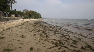 Studland Güney Dorset İngiltere İngiltere Swanage ve Poole ve Bournemouth arasında Plajı