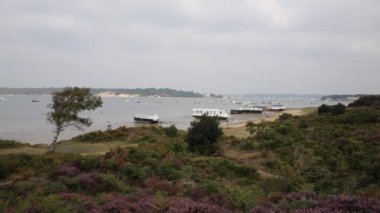 Sandbanks feribot yanındaki kıyıdan Brownsea Adası Poole Harbour Dorset İngiltere İngiltere görüntülendi
