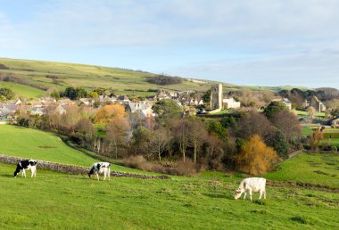 Abbotsbury village Dorset England UK known for its swannery clipart