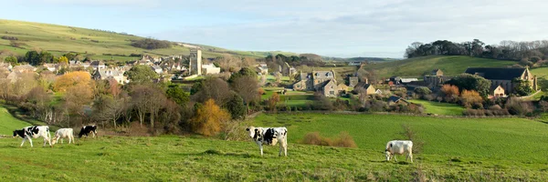 Village anglais Abbotsbury Dorset UK dans le panorama de la campagne — Photo