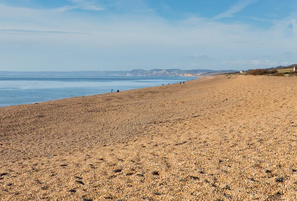 Abbotsbury beach Dorset England UK on the Jurassic Coast — Stock Photo, Image