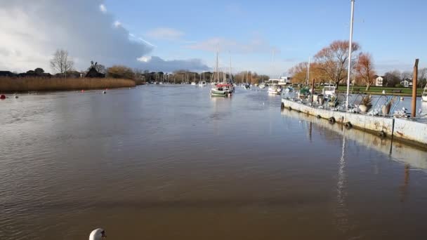 River Stour Christchurch Dorset England Storbritannien med enda swan simning från kamera — Stockvideo