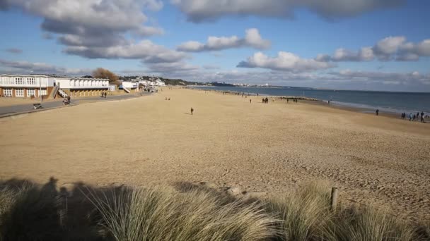 沙洲海滩普尔多塞特郡英格兰英国 — 图库视频影像