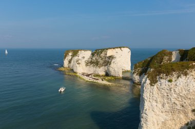 Chalk cliffs Old Harry Rocks Isle of Purbeck in Dorset south England UK clipart