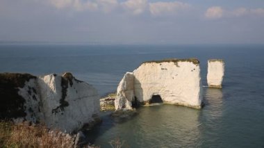 Jurassic Coast Studland Dorset İngiltere'de İngiltere'de eski Harry taş yığını oluşumları bir yığın ve Handfast noktası Purbeck Adası, kütük gibi tebeşir